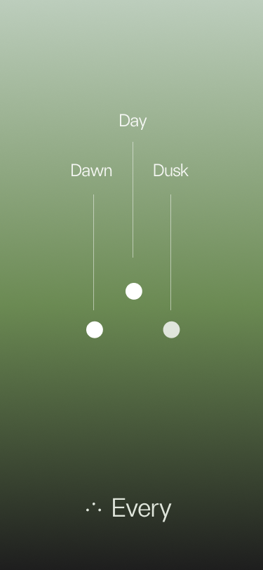 Mobile 3 Mobile 3
