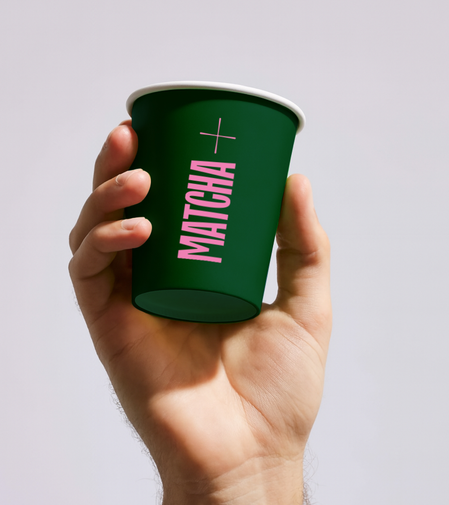 Matcha + 6 Matcha + 6