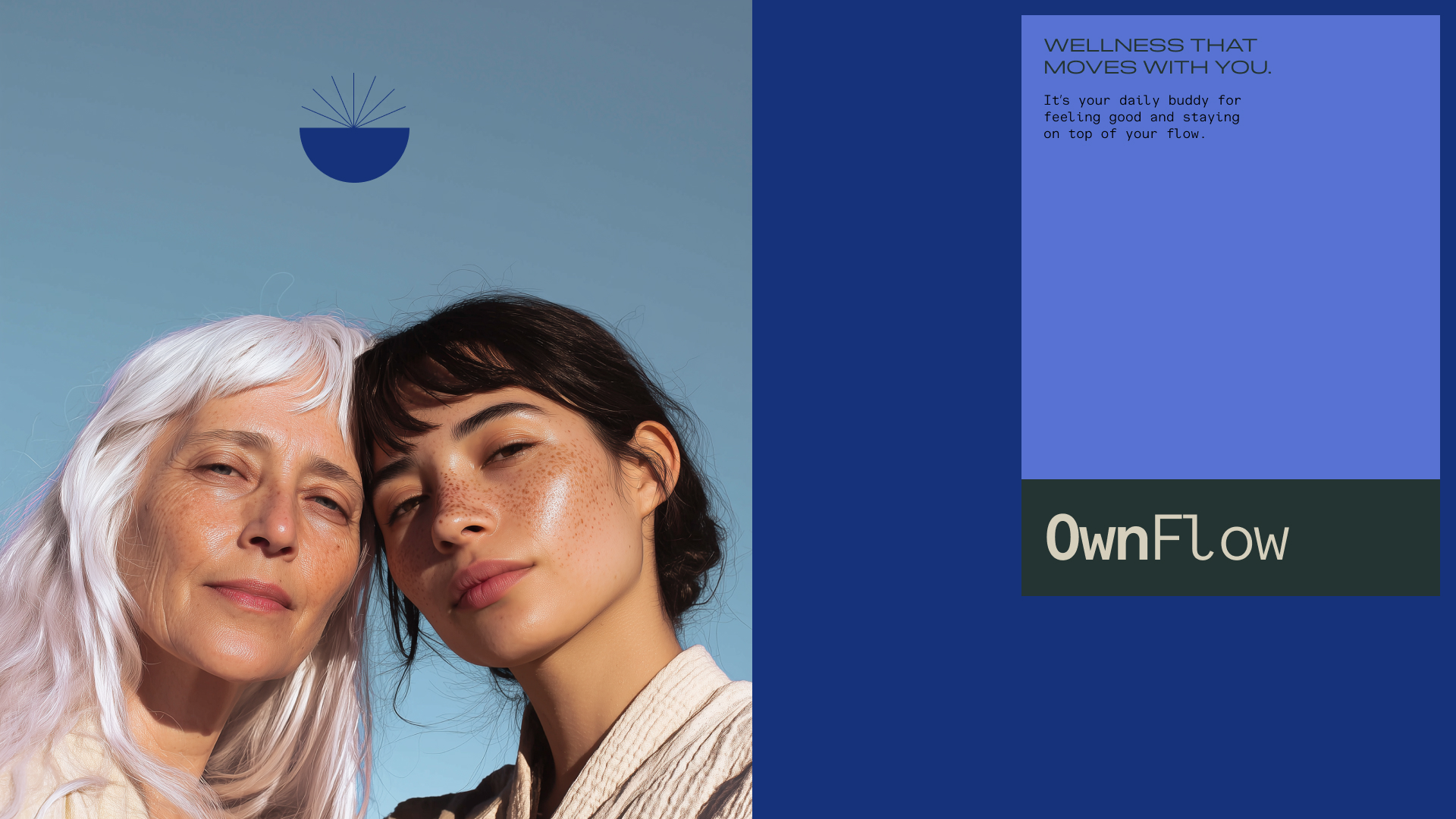 OwnFlow 3