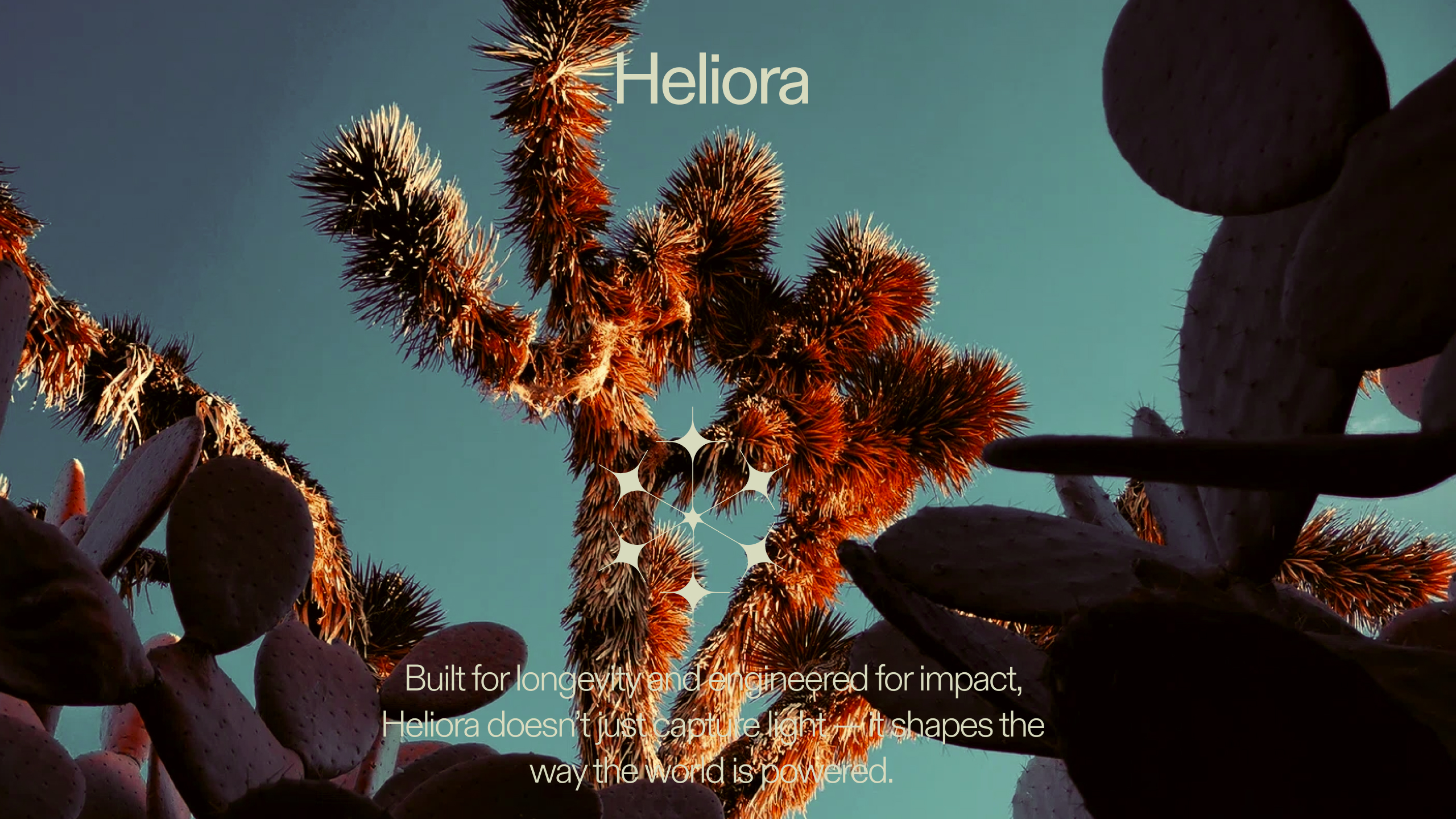 5 – Video 5 – Video