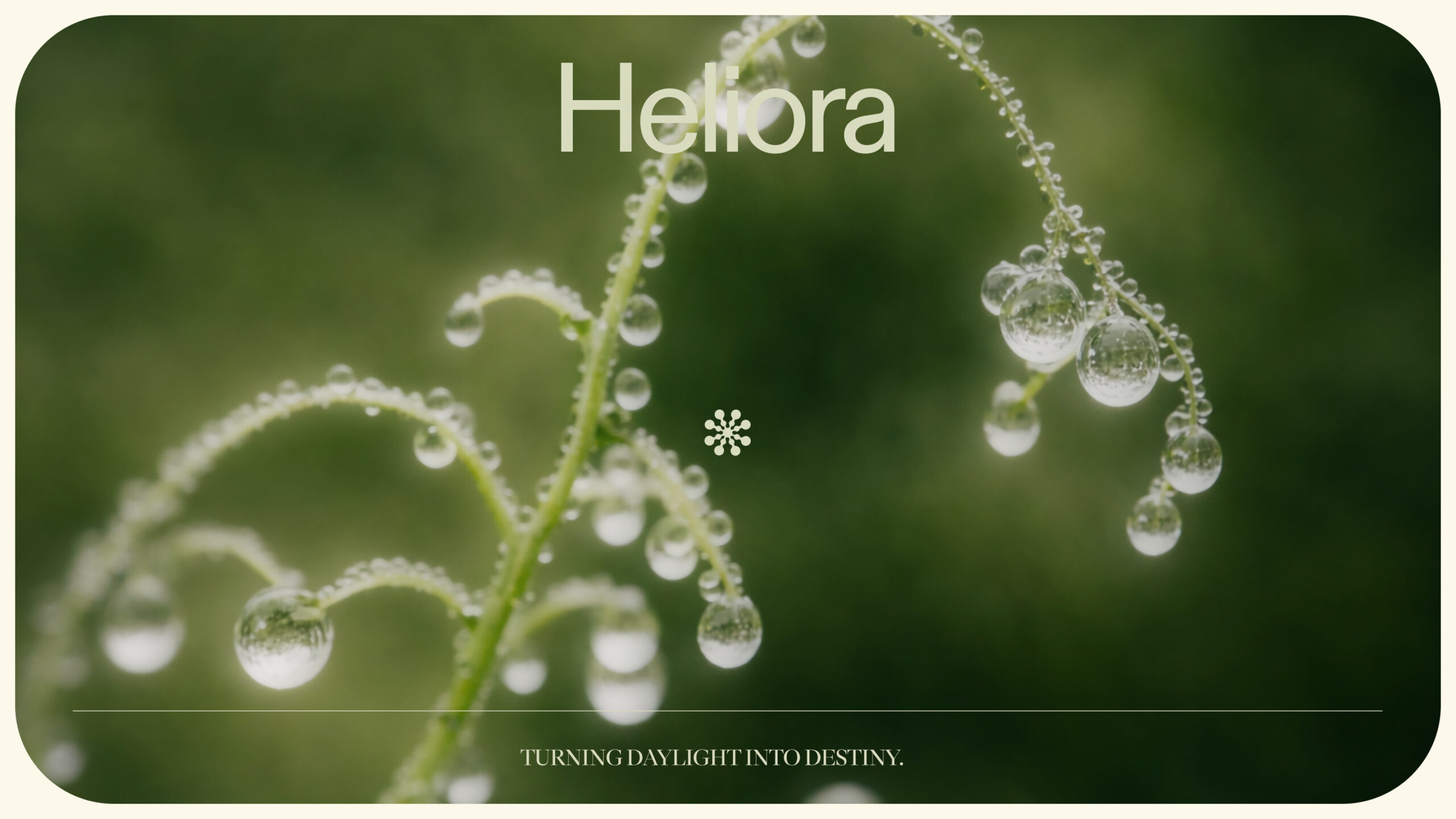 Heliora 1