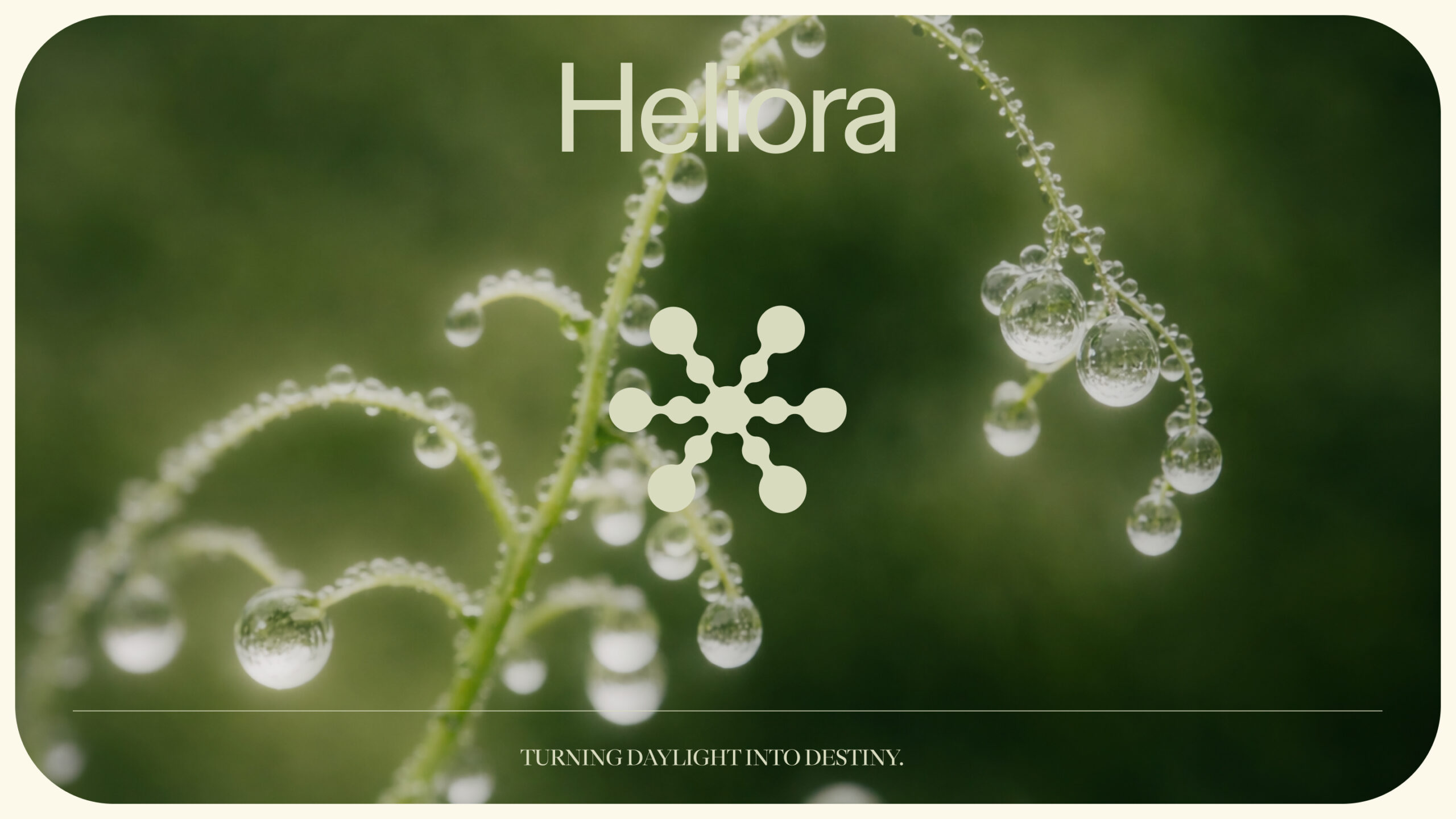 Heliora 1