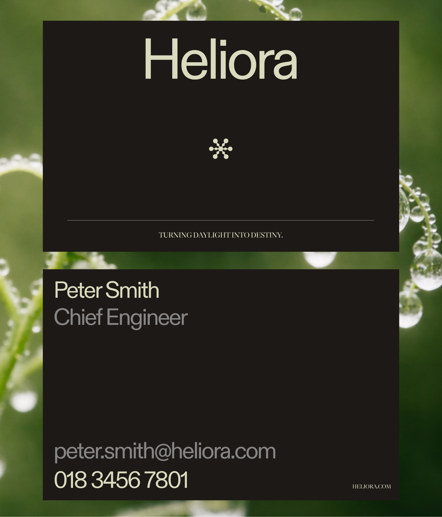 Heliora 18